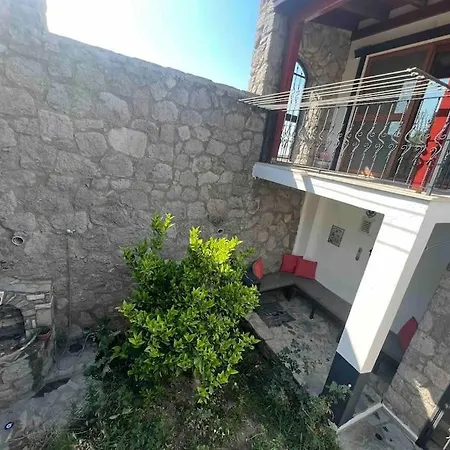 Chanel * 博德鲁姆